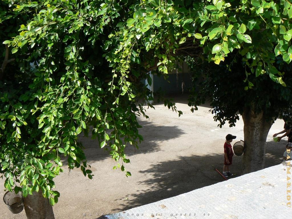 Jean Mace filles la cour 01 .jpg